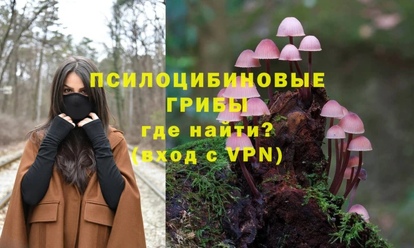 мяу мяу мука Абдулино