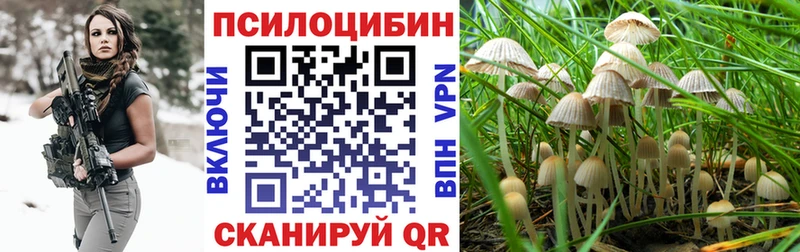 наркотики  Партизанск  Псилоцибиновые грибы MAGIC MUSHROOMS 